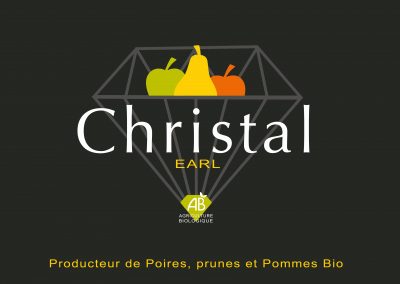 Logo Christal - Logo franck-design66